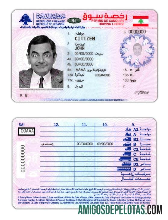 Carteira de motorista do Líbano exemplo real